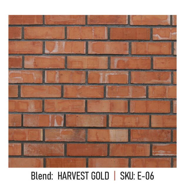 Harvest Gold